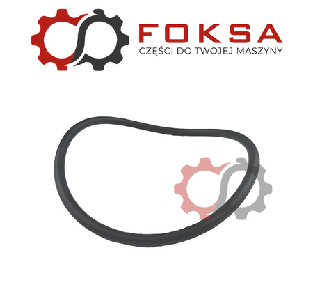 O-ring mechanizmu różnicowego