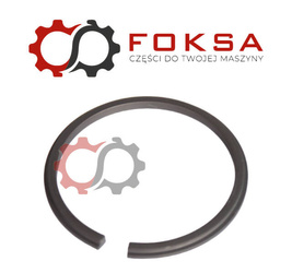 Pierścień zabezpieczający ZF