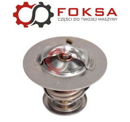 Termostat Premium