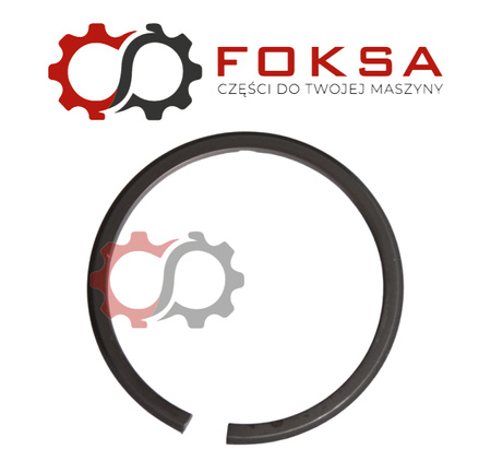 Pierścień zabezpieczający ZF