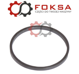 Pierścień uszczelniający ORG