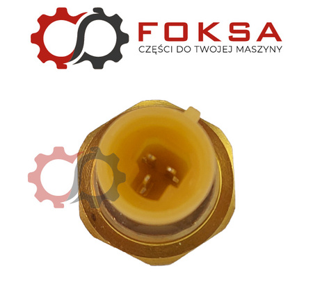 Czujnik ciśnienia powietrza