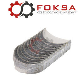 Panweki główne zestaw STD ORG