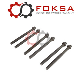 Śruba głowicy komplet 6 szt. Elring