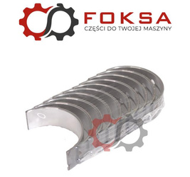 Panewki główne kpl. STD