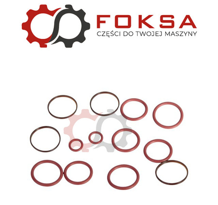 Zestaw naprwczy zaworu hydraulicznego ORG