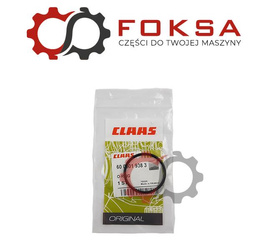 O-ring/Pierścień uszczelniający ORG