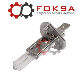 Żarówka H1 BOSMA