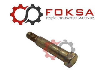 Sworzeń gwiazdy motowidła