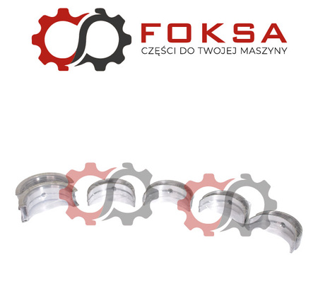 Zestaw panewek głównych STD KPL 5 szt