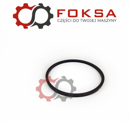 Pierścień uszczelniający