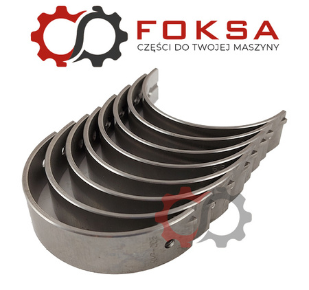 Zestaw panewek głównych - I szlif KMP