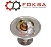 Termostat ORG