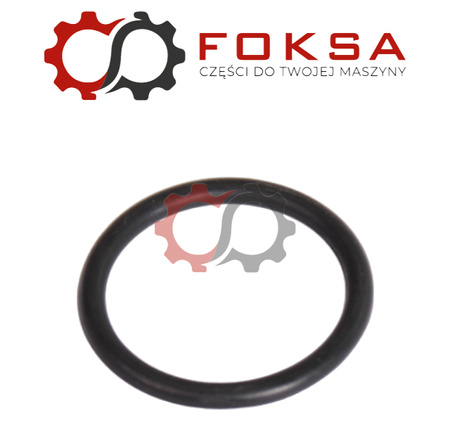 O-ring ORG