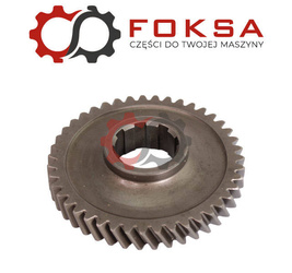 Koło stałego zazębienia