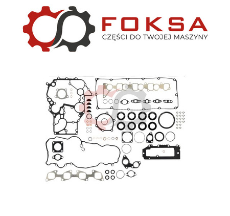 Zestaw uszczelek silnika Reinz