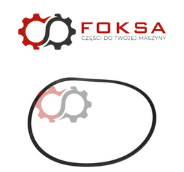 Pierścień uszczelniający