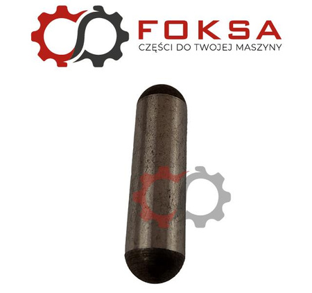 Sworzeń satelity ORG