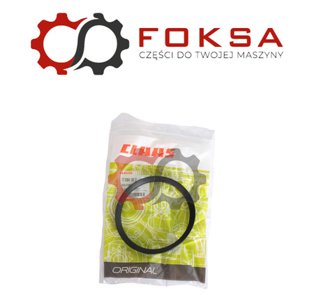 Uszczelniacz przeciw kurzowy ORG