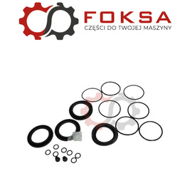 Zestaw uszczelnień zacisku