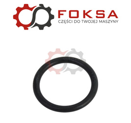 O-ring ORG