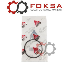 Pierścień zabezpieczający ORG