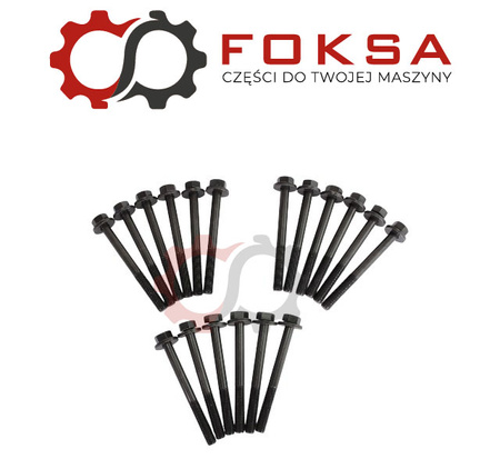 Komplet śrub głowicy Reinz