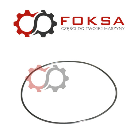 Pierścień uszczelniający cylindra