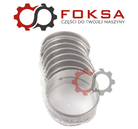 Zestaw panewek głównych STD