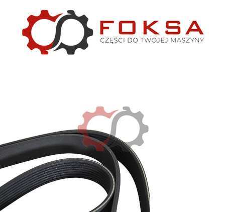 Pasek wielorowkowy Dayco