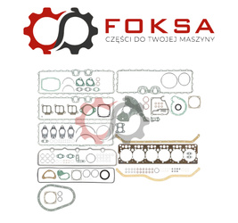 Zestaw uszczelek silnika REINZ