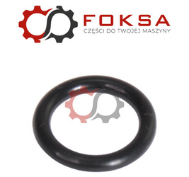 O-ring