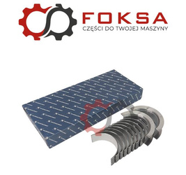 Zestaw panewek głównych STD KS