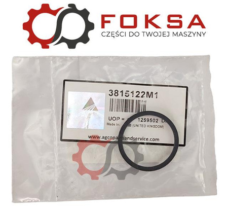 Pierścień uszczelniający (przecięty pod skosem) ORG