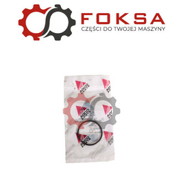 Pierścień zabezpieczający ORG