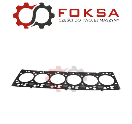 Uszczelka głowicy REINZ