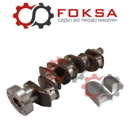 Wał korbowy silnika z panewkami