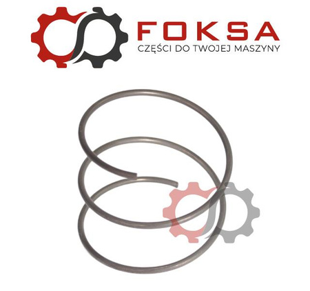 Sprężyna łożyska oporowego