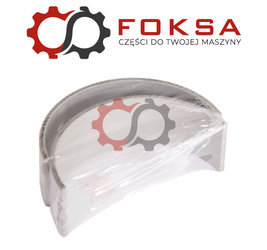 Panewka główna para STD