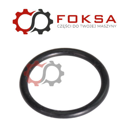 O-ring ORG