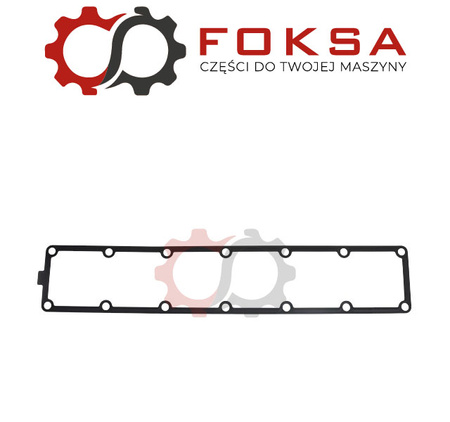 Uszczelka kolektora dolotowego REINZ