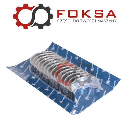 Zestaw panewek głównych STD KS