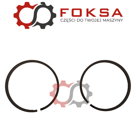 Pierścień uszczelniający (kpl 2 szt)