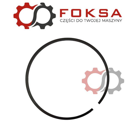 Pierścień uszczelniający ORG