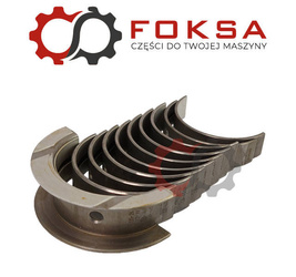 Panewki główne kpl. STD Glyco