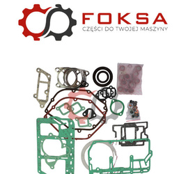 Zestaw uszczelek silnika