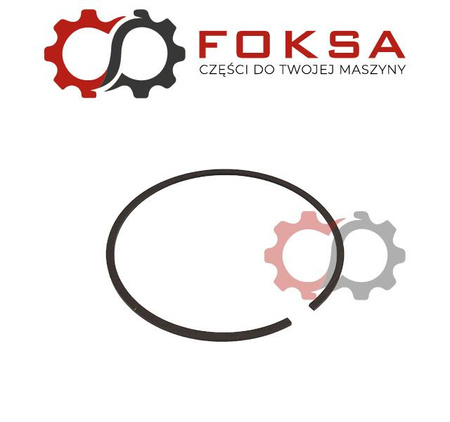 Pierścień uszczelniający ORG