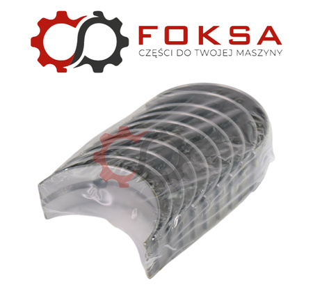 Panewki główne STD Mahle