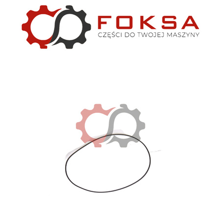 Pierścień uszczelniający cylindra ORG