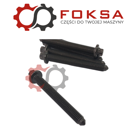 Zestaw śrub głowicy (26 śrub) REINZ